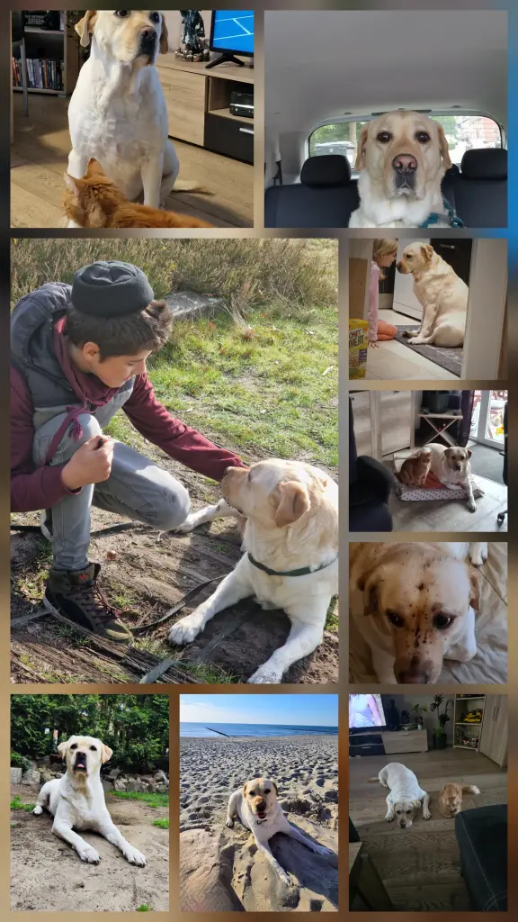 Image from Lucky