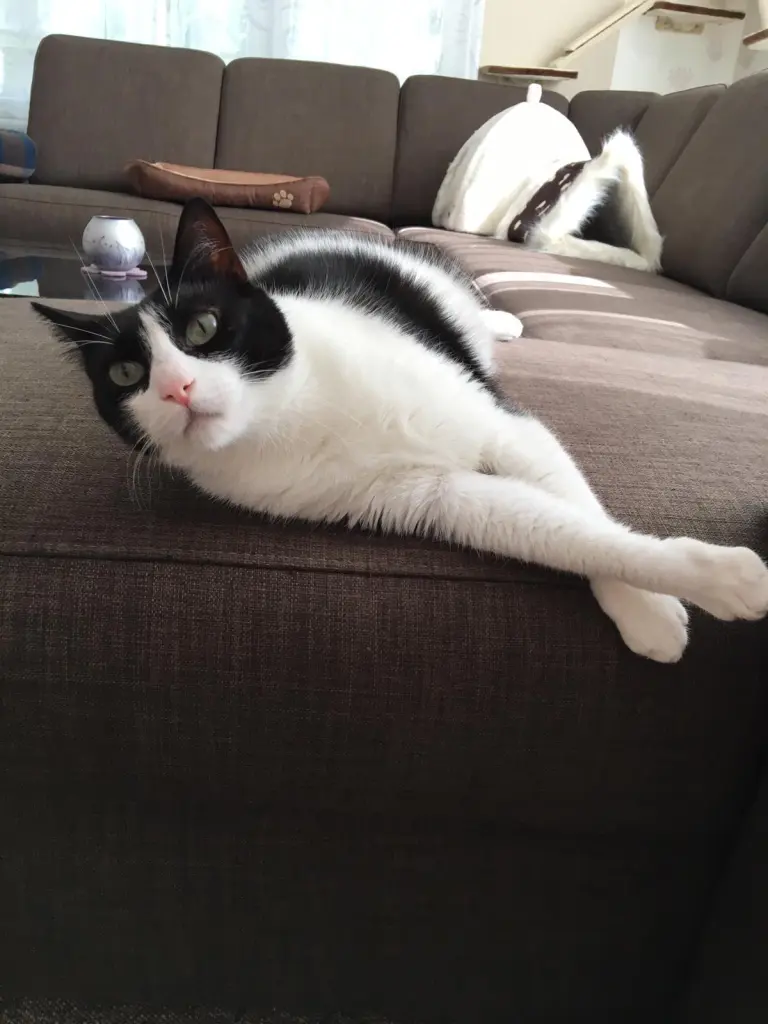 Deine Couch ♥️