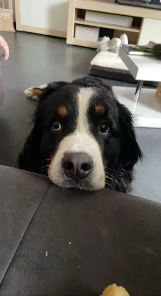 Andachtsbild von Ulf