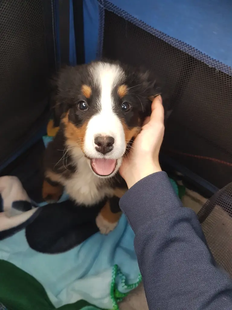 Andachtsbild von Celina