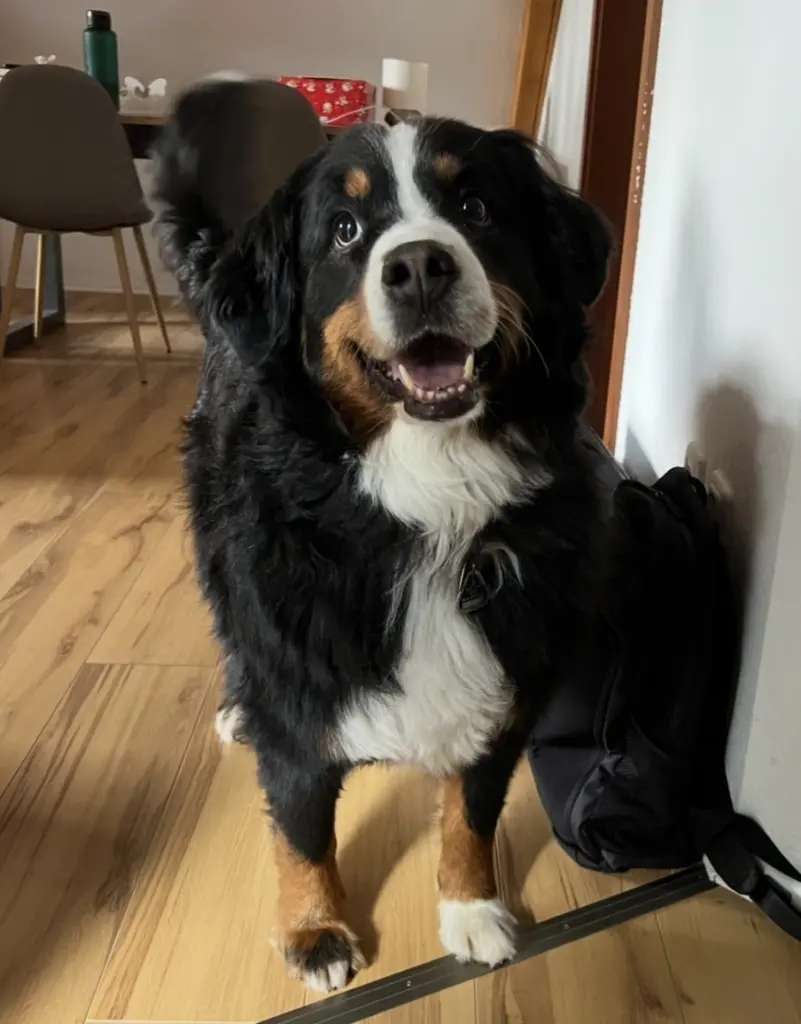 Andachtsbild von Alexander