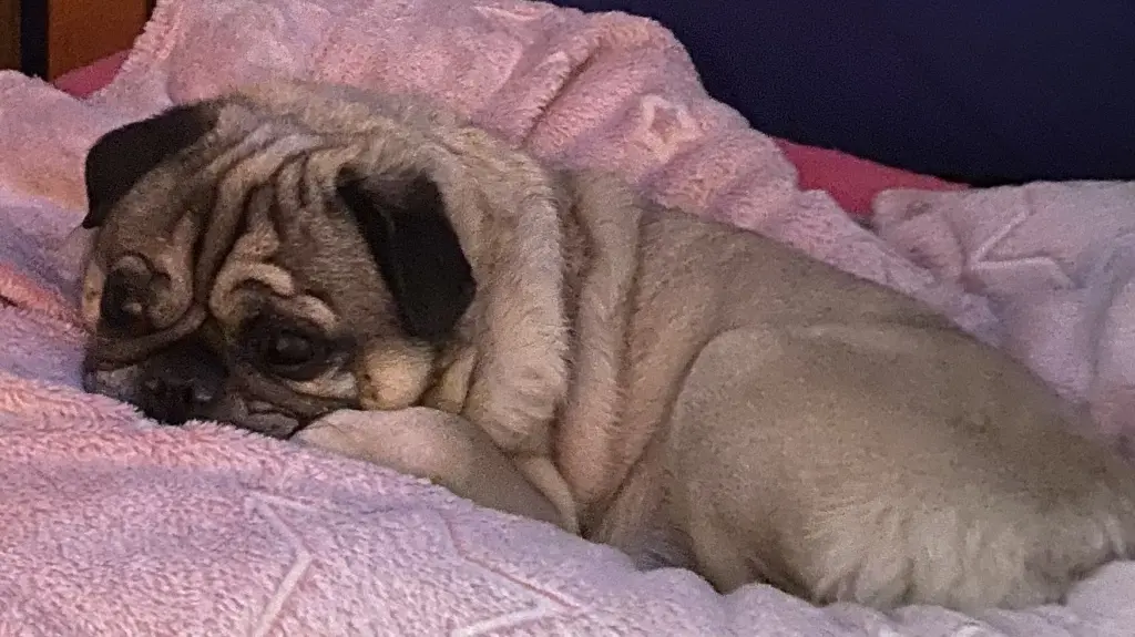 Andachtsbild von Mandy Müller