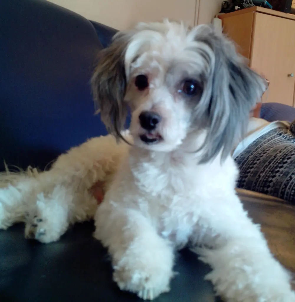 Andachtsbild von Sonja Sparr