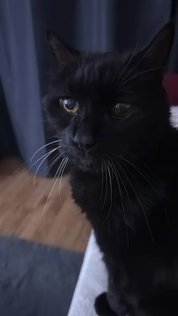 Andachtsbild von Monique Ben Rabah