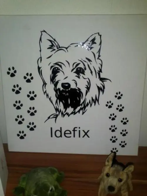 Image from Idefix