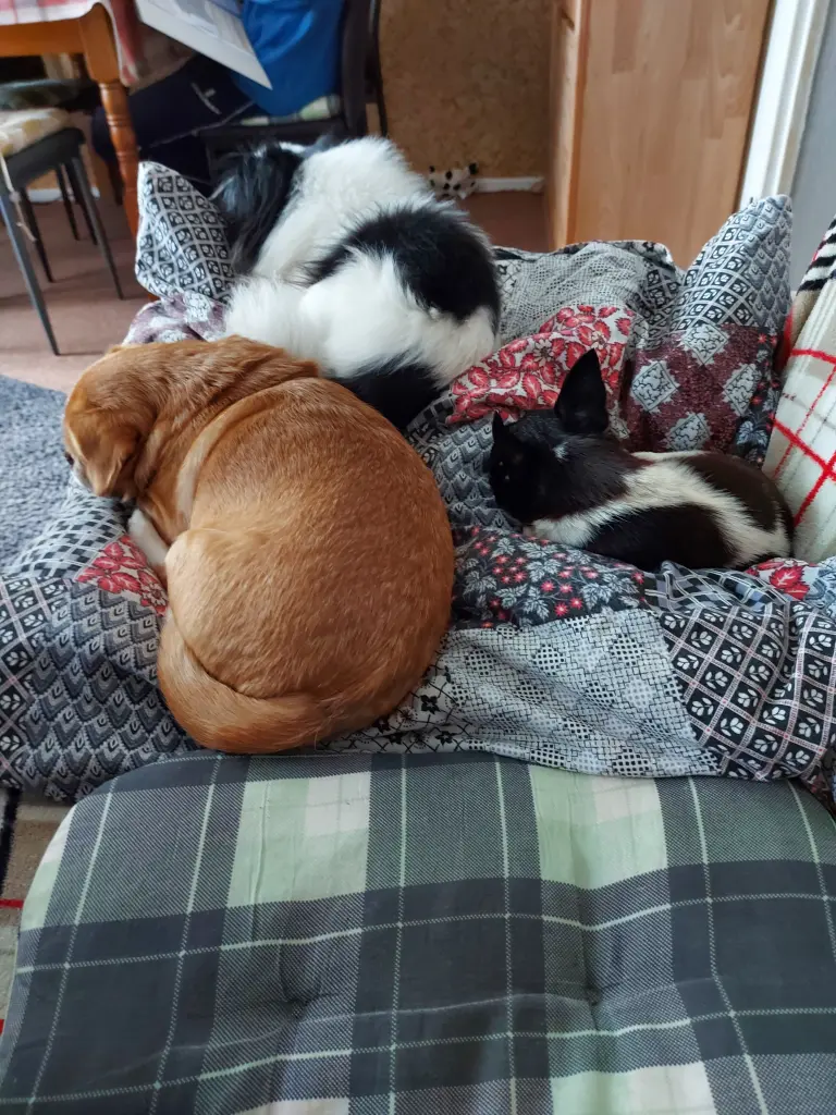 Flo und Benny und Naldo