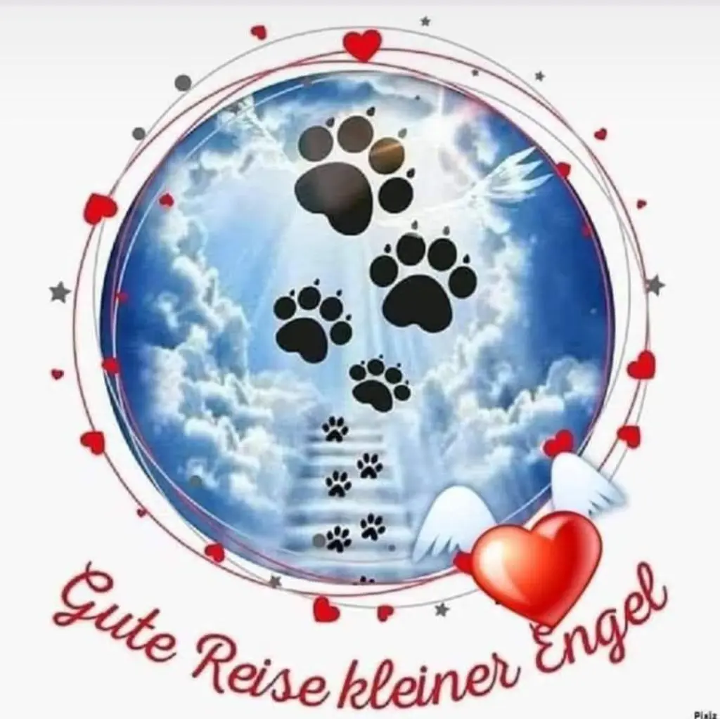 Condolence image of Lydia mit Sternchen Tommy , Balu , Tammi , Erwin