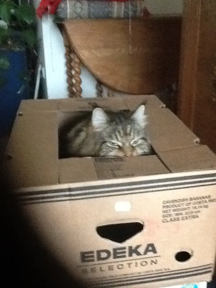 Mal wieder ein Umzug