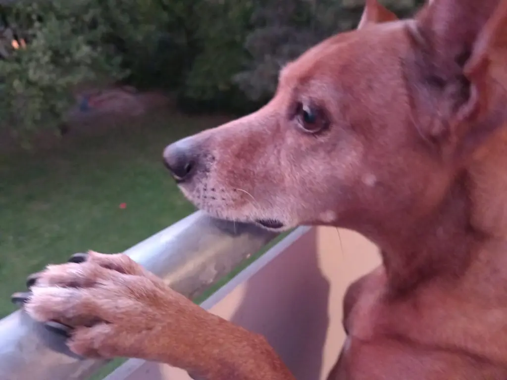 Condolence image of Jörg S