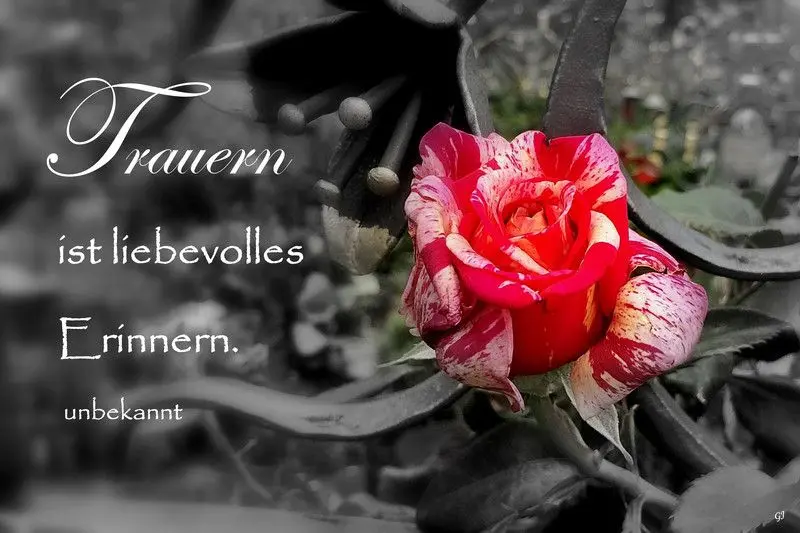 Condolence image of Kornelia