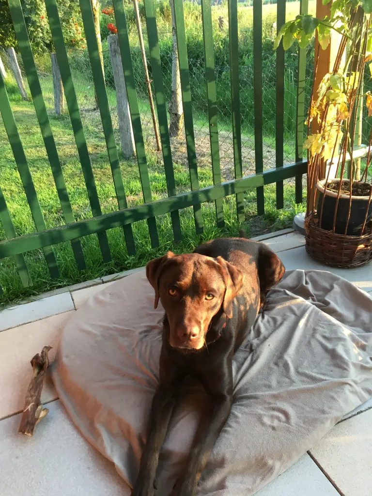 Andachtsbild von Heike und Claus Harms