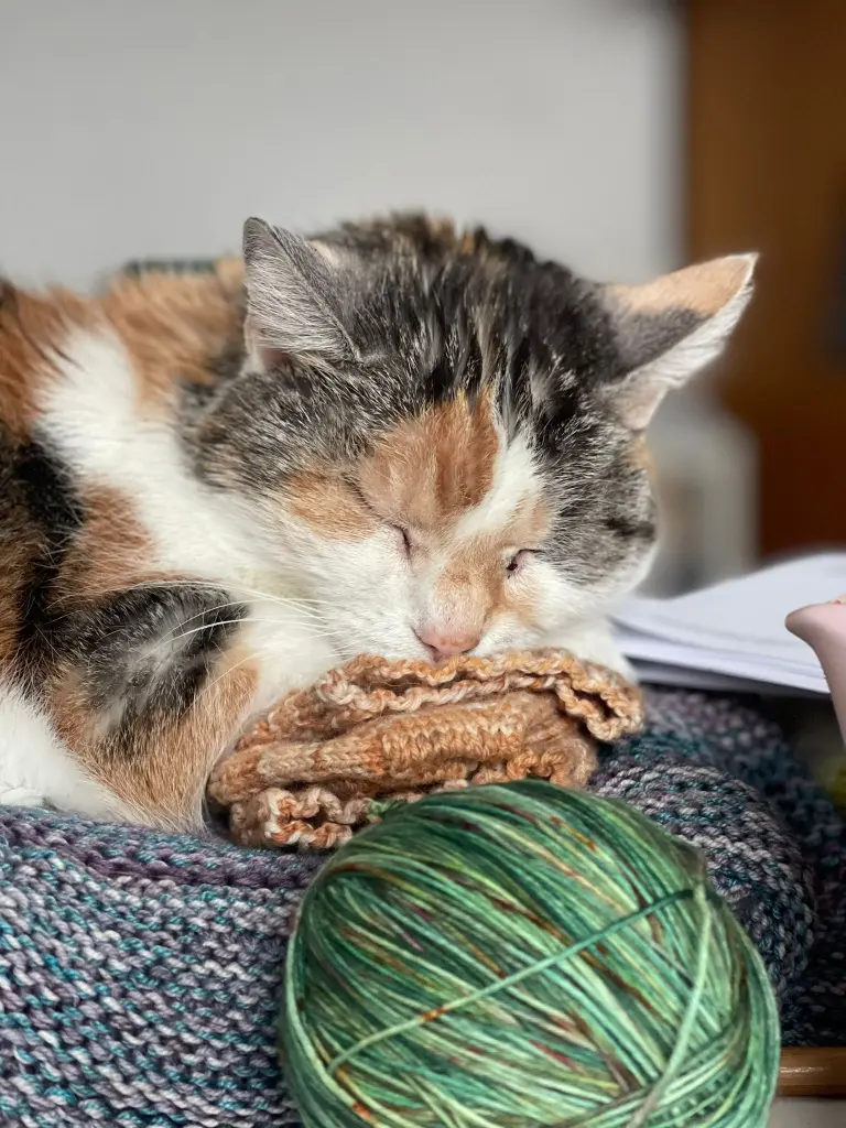 Image from Frau Lotta