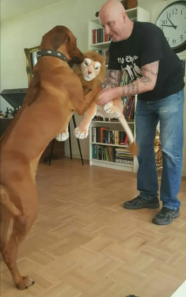 Condolence image of Holger Löhr