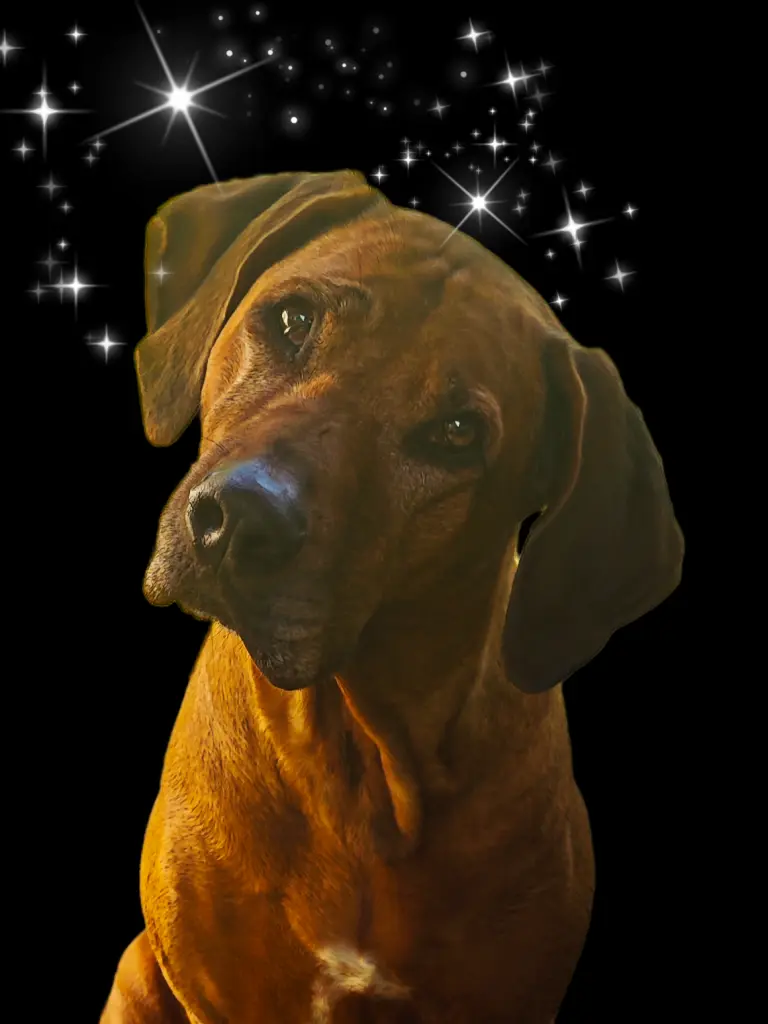 Condolence image of Daniela Löhr