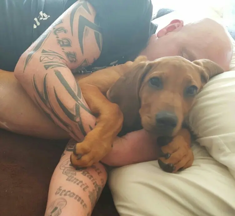 Condolence image of Daniela Löhr