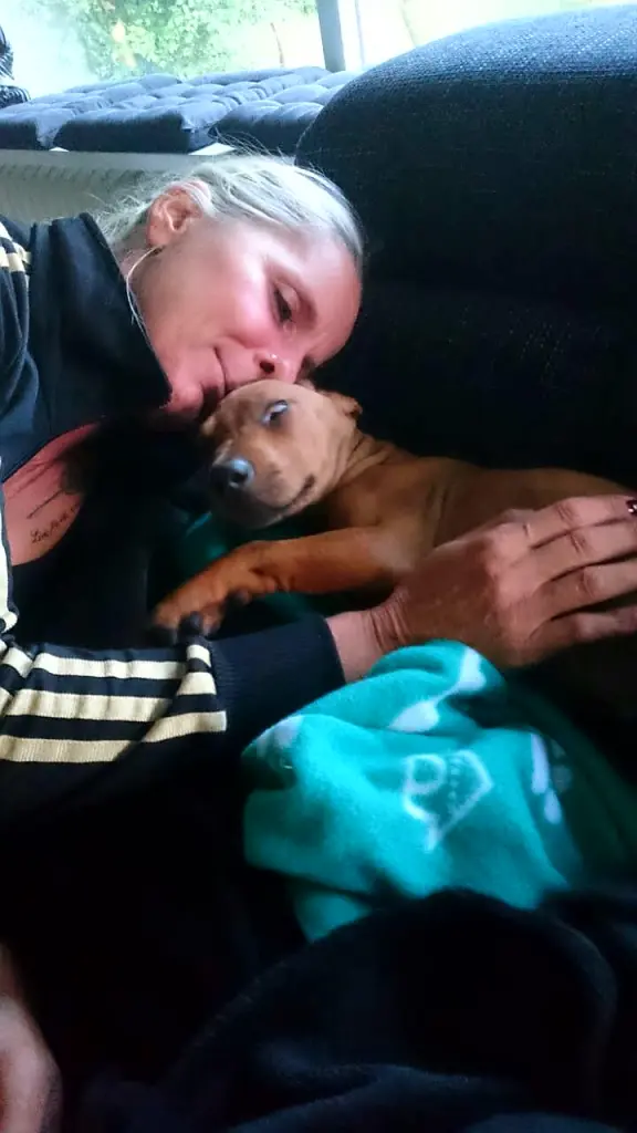 Condolence image of Daniela Löhr