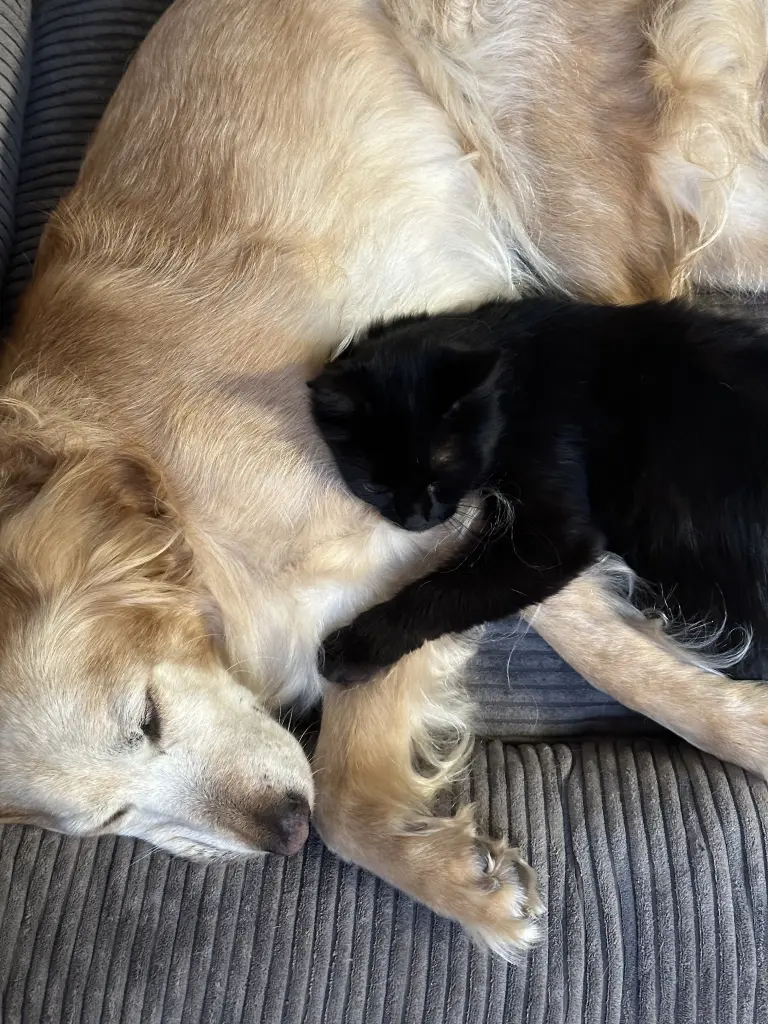 Du und Holly