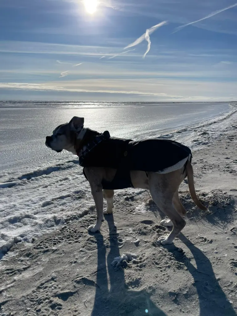 Bild von Apollo
