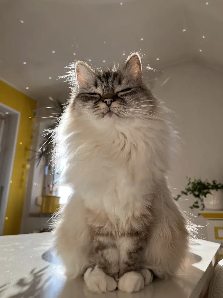 ❤️