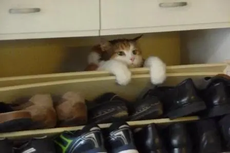 Andachtsbild von Sabine Wolter