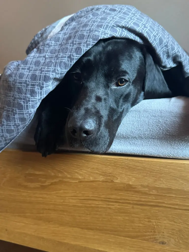 Condolence image of Silvia & Björn von der Drepte