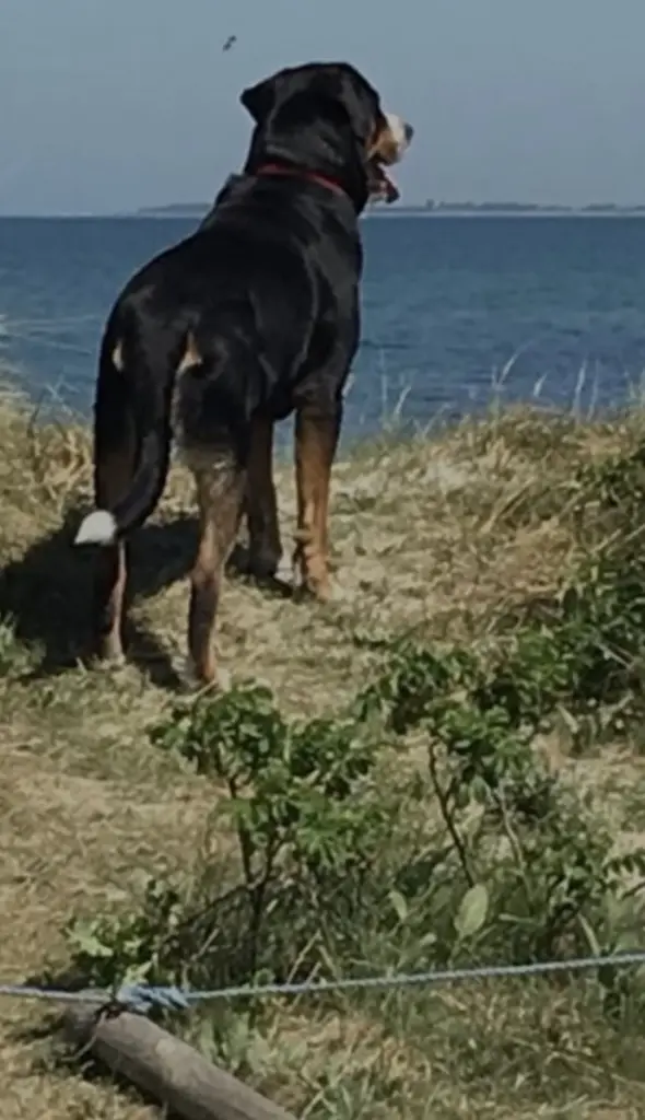 Andachtsbild von Michael Menting