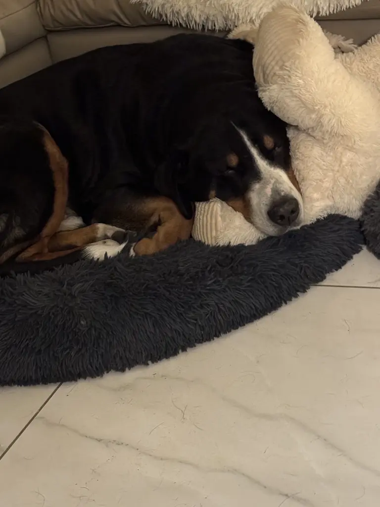 Andachtsbild von Lisa Marschewski