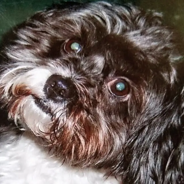 Condolence image of Mami