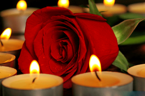 Condolence image of Klaudia mit Misiu❤❤❤