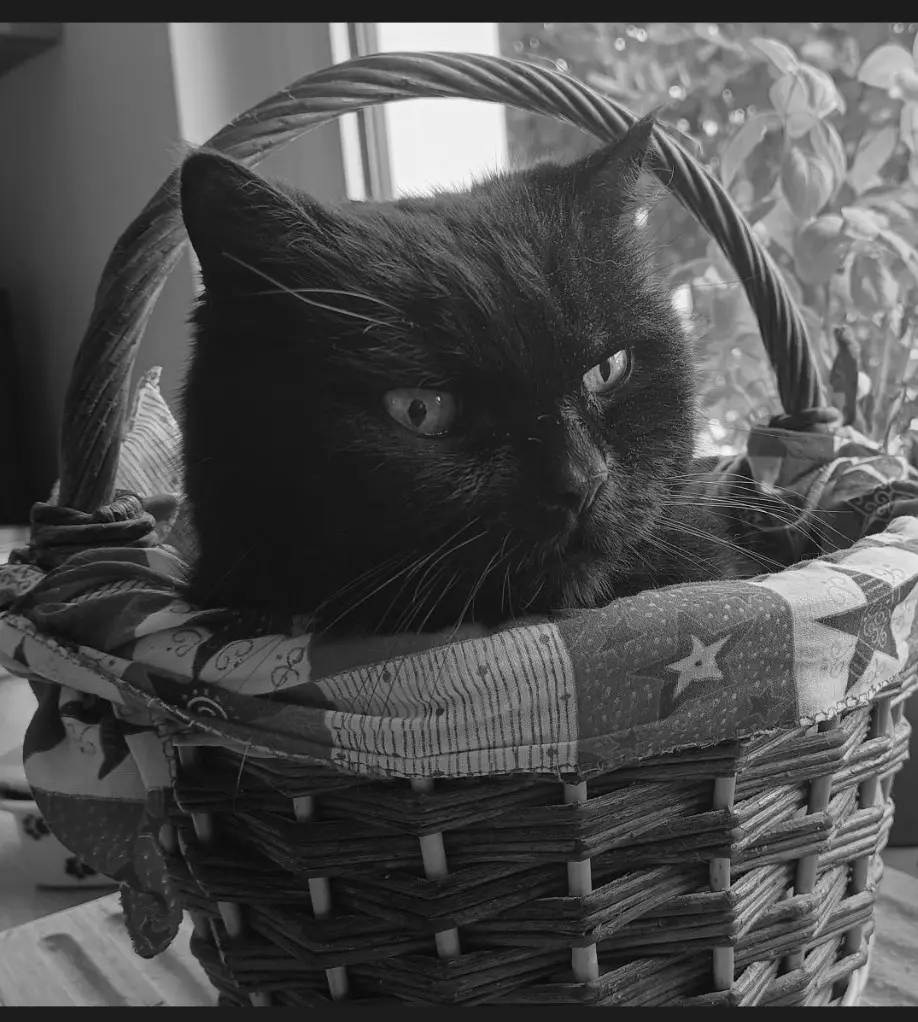 Condolence image of Georg Behne