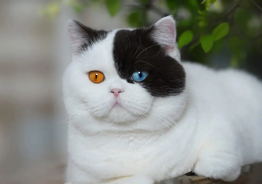 Condolence image of Rabea
