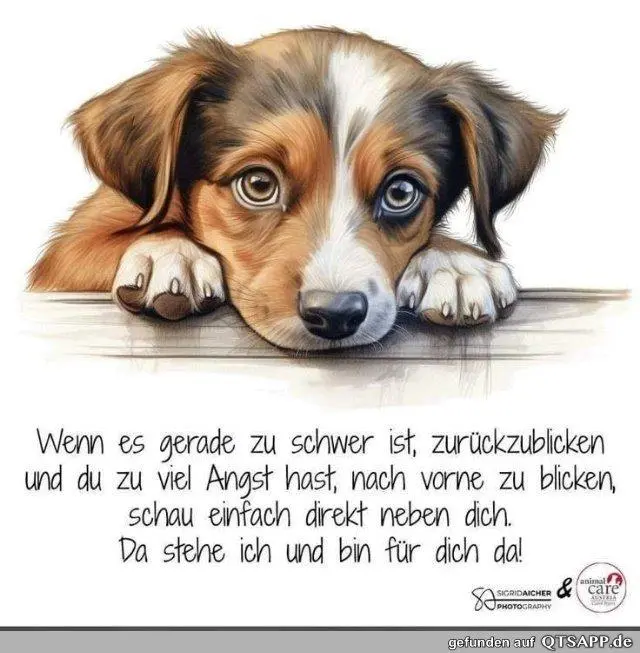 Andachtsbild von Alois und Gudrun mit Yoda ♥️