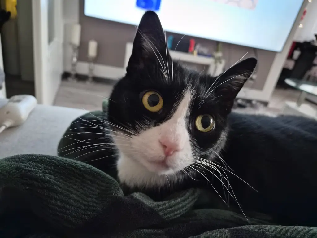 Condolence image of Dennis Knoll