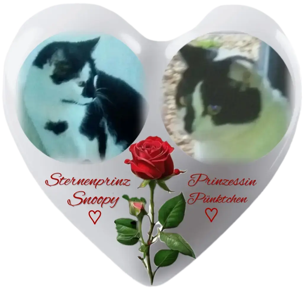 Condolence image of Snoopy und Pünktchen ❤️ ❤️