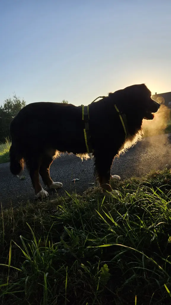Den Sonnenaufgang genießen. 🤩🤩🤩