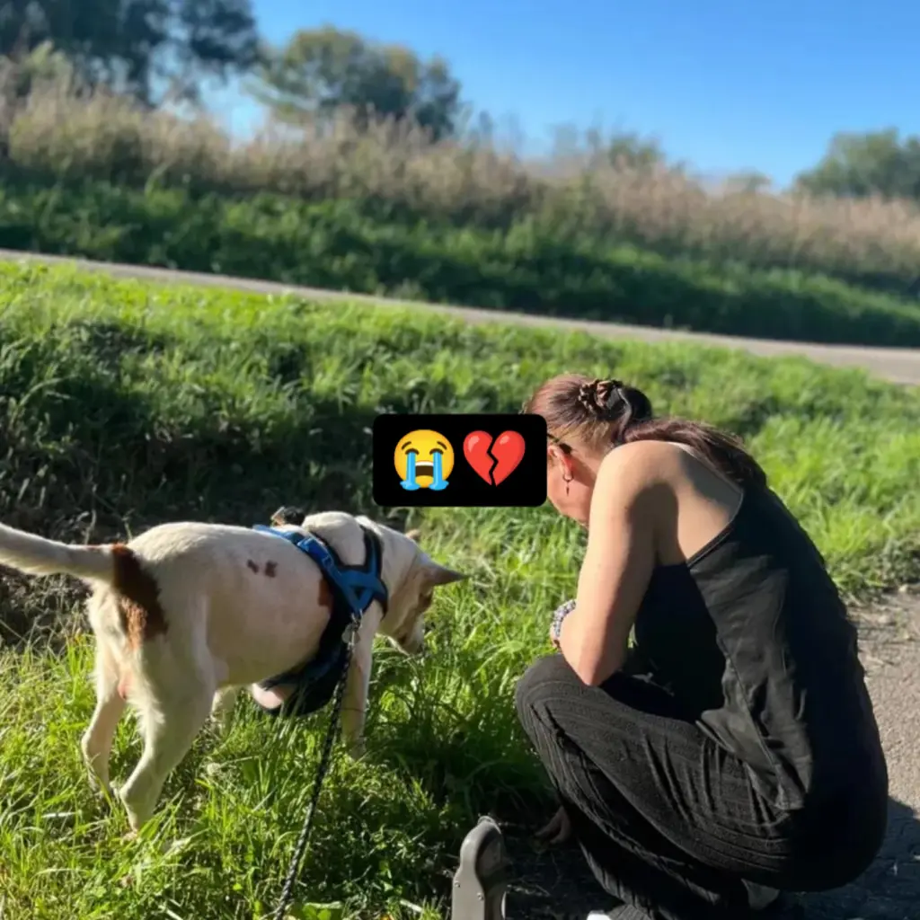 Andachtsbild von Daniela Krumm