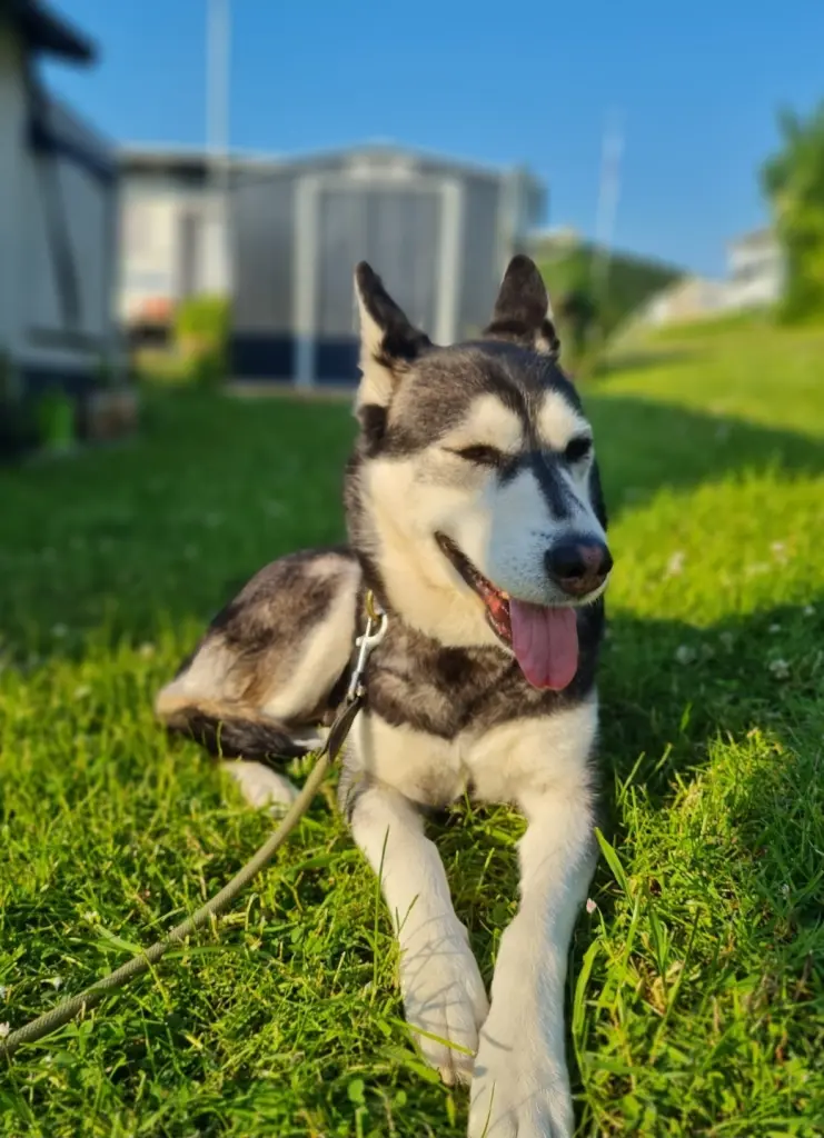 Andachtsbild von Jörg Ulrich