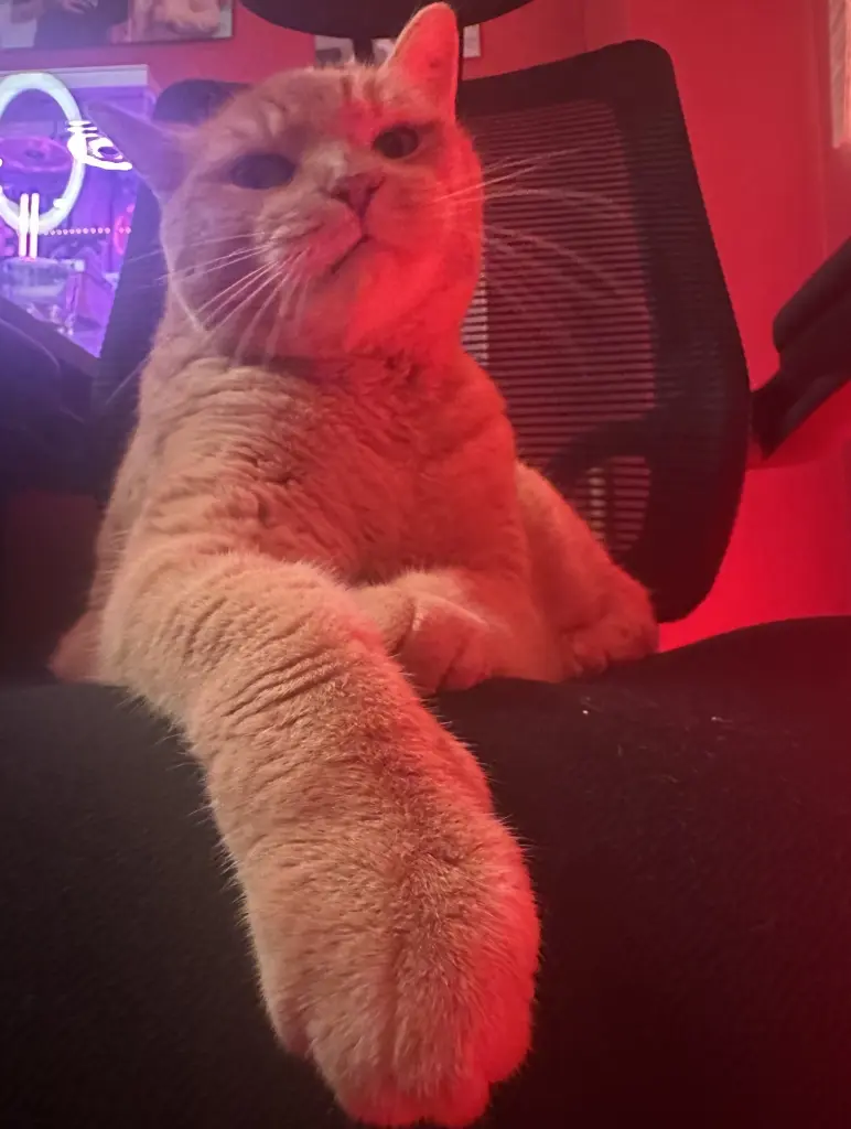 Condolence image of Michelle