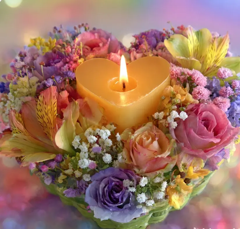 Condolence image of Mit den liebsten♡ Gedanken an  🥀♡Paula♡🥀