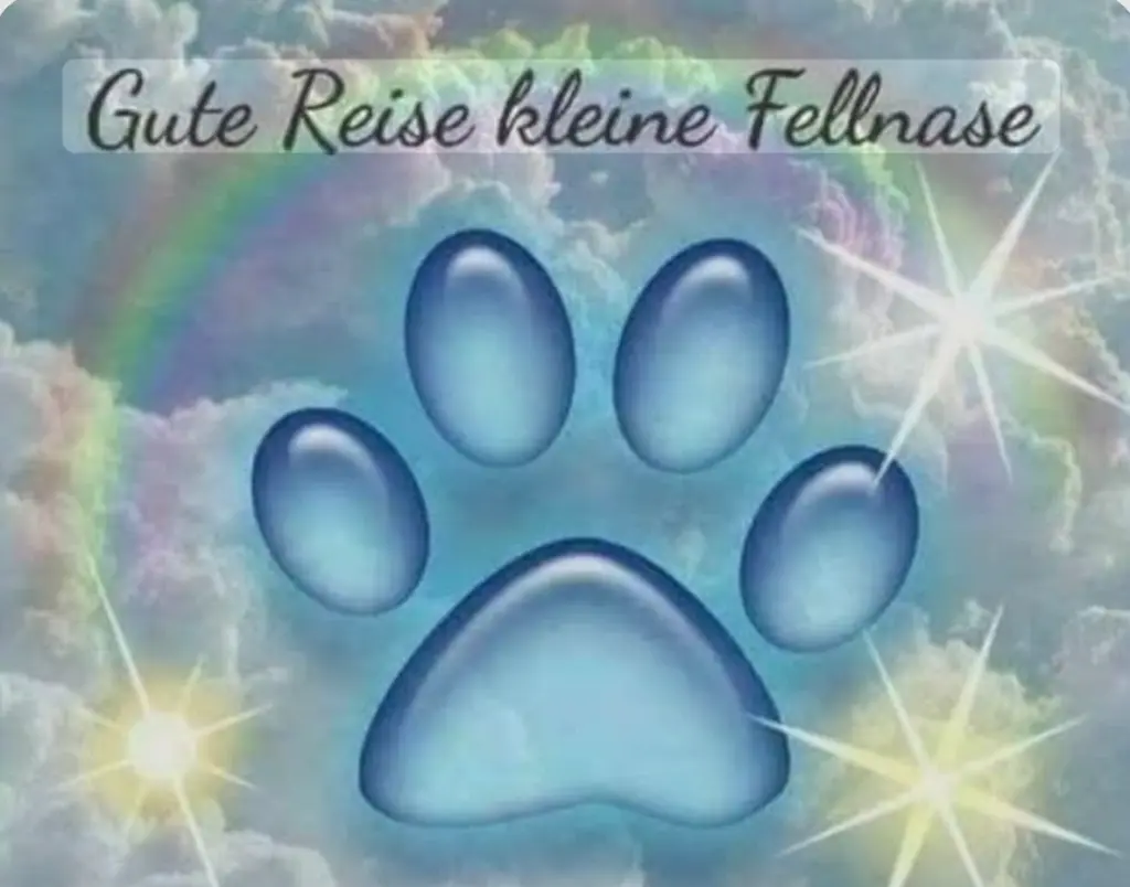 Condolence image of Sabine und Ben