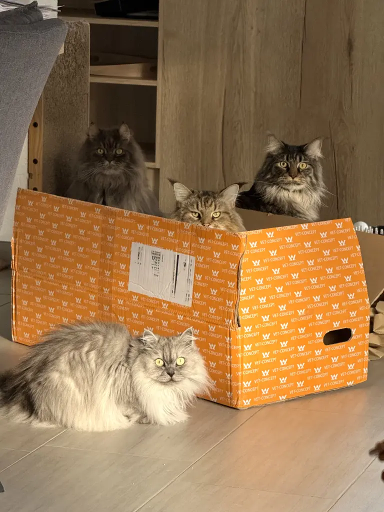 Sammy mit seinen Geschwistern