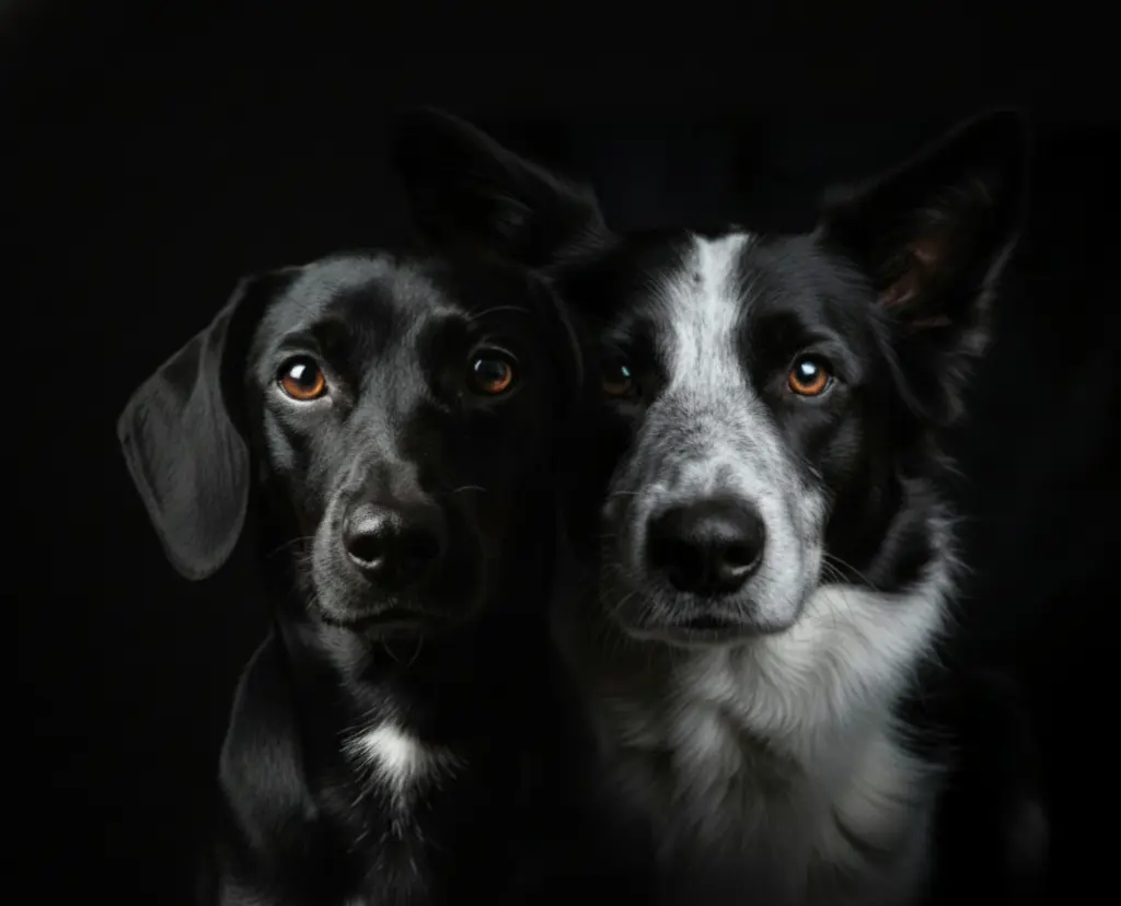 Condolence image of Mandy Johannes