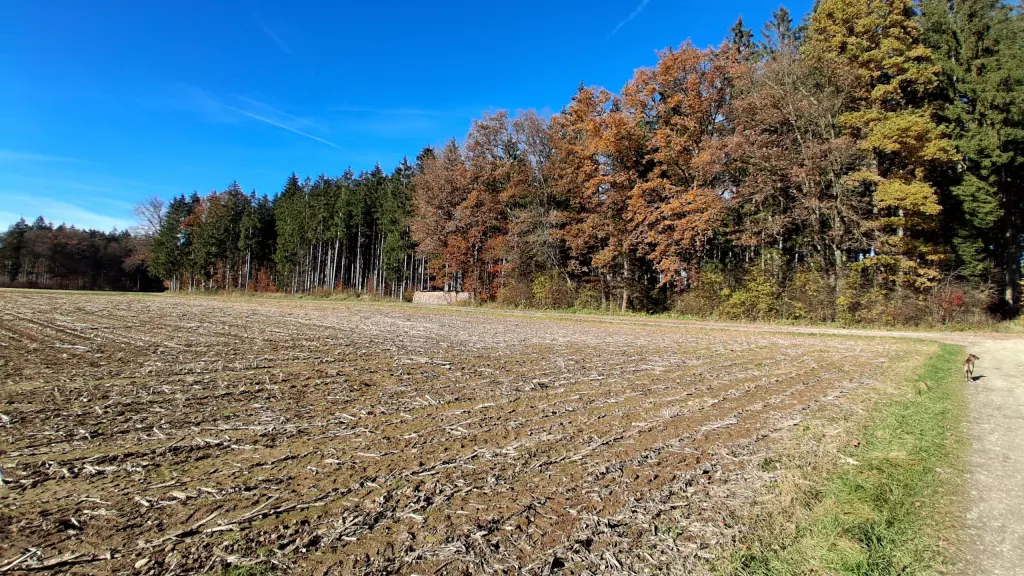 Condolence image of Erika Cremer