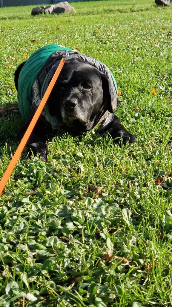 Condolence image of Yuna