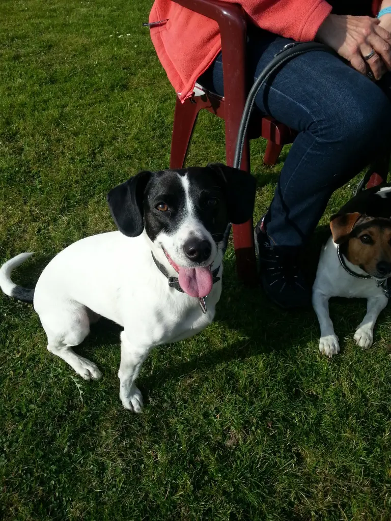 Bessy und Duke