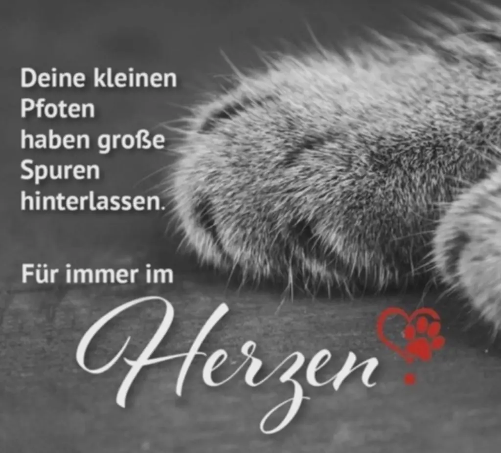 Andachtsbild von Patrick Strehl