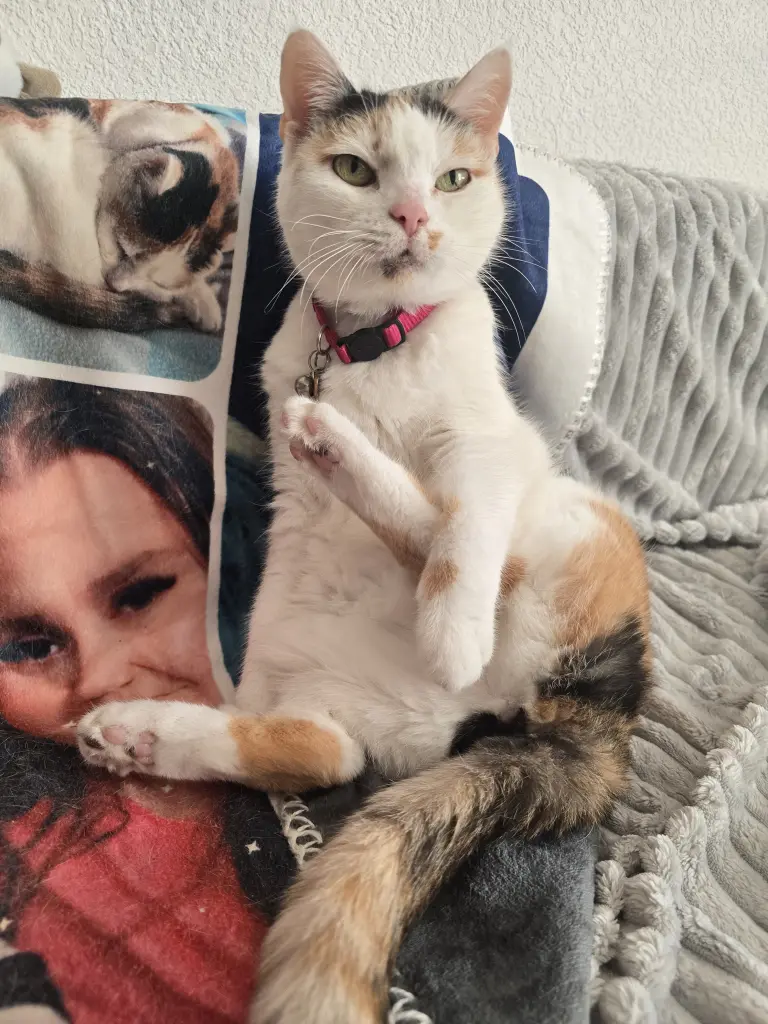 Dein Platz wir halten ihn in Ehren