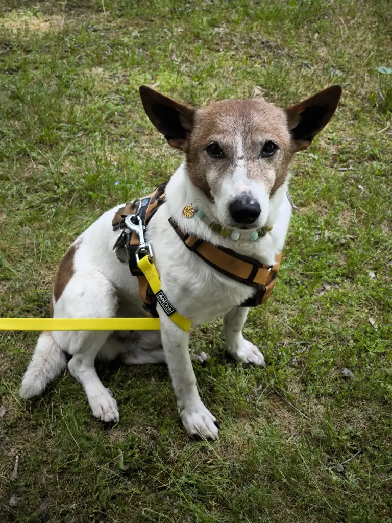 Befreit mich jemand?