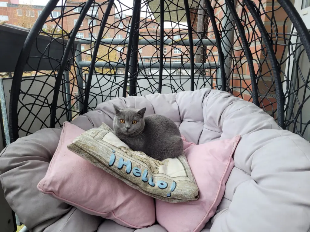 Lieblingsplatz in Schaukel