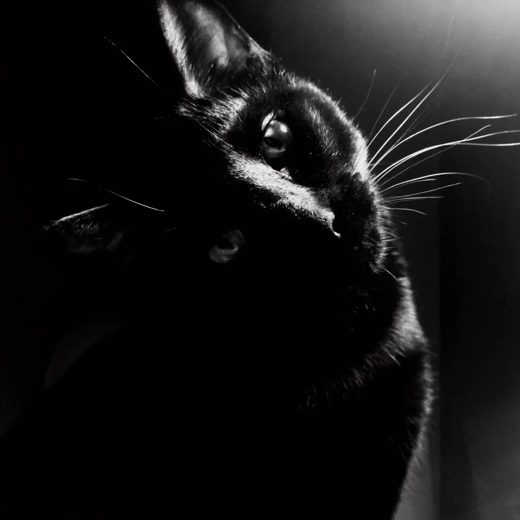 Image from Jack